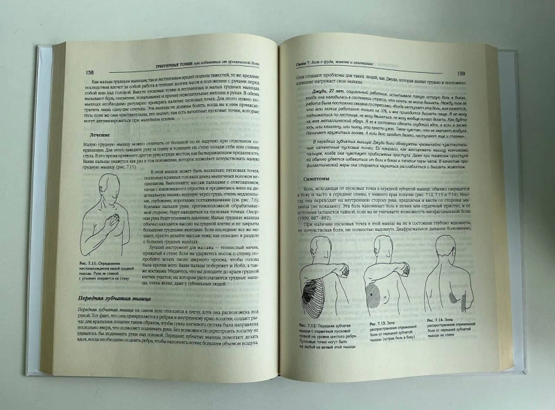 Книга Триггерные точки — Клер Дэвис, Амбер Дэвис (Энциклопедия) — фото 3