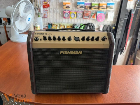 Комбопідсилювач Fishman Loudbox Mini 60W Korea