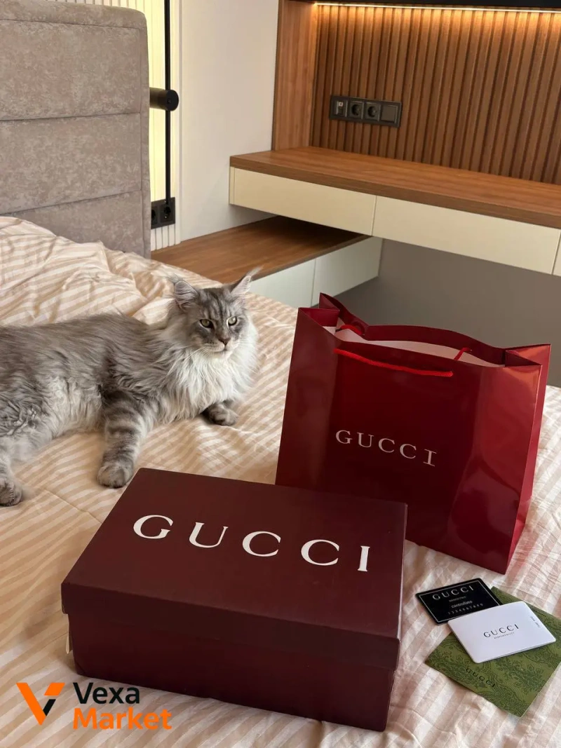 Кросівки Gucci GG Supreme бежеві — фото 4