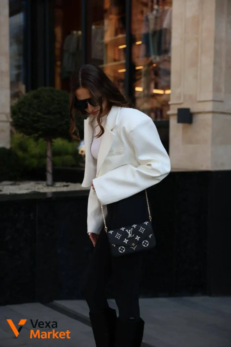 Louis Vuitton Félicie Pochette Bag Black/Beige — фото 2