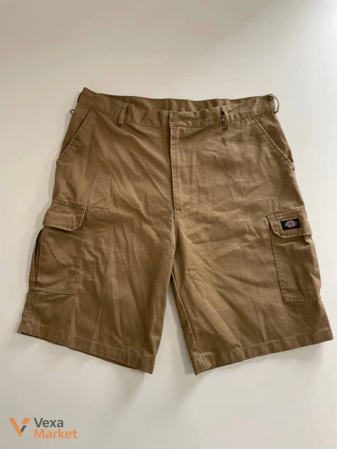 Шорти Dickies Cargo