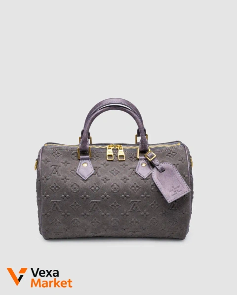 Louis Vuitton Speedy Bandoulière 30 Grey Suede