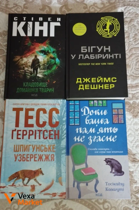 Книги: Кладовище домашніх тварин, Бігун у лабіринті, Шпигунське узбережжя, Доки ваша пам'ять не згасне