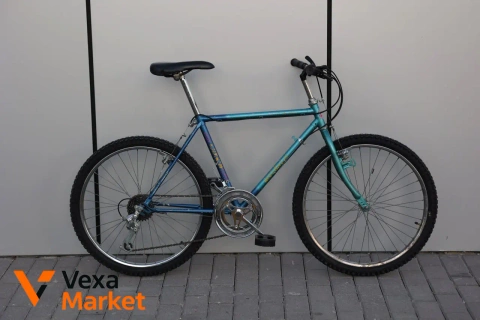 Дитячий велосипед Kalkhoff Morangie 24" Sachs