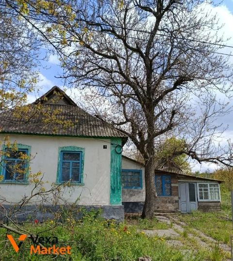 Продаж будинку в с. Радевичеве, Криворізький район