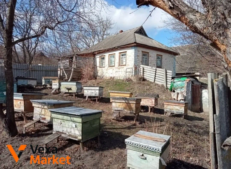 Продаж будинку та пасіки в с. Куцівка, Черкаська область — фото 3