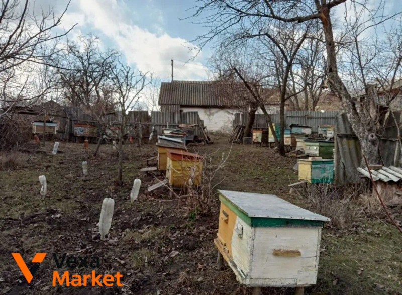Продаж будинку та пасіки в с. Куцівка, Черкаська область — фото 5