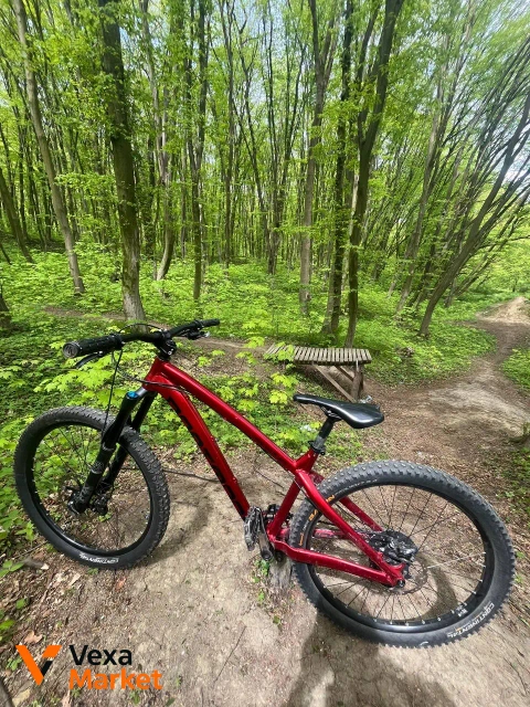 Велосипед Dartmoor Hornet M 2019