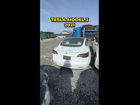 Tesla Model 3 2021