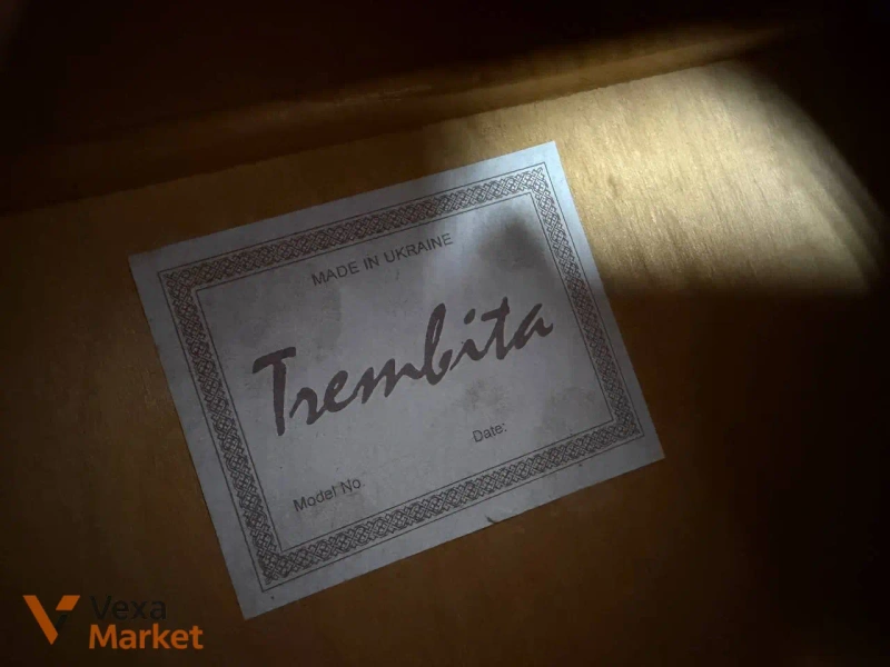 Акустична гітара Trembita Sunburst металеві струни — фото 8
