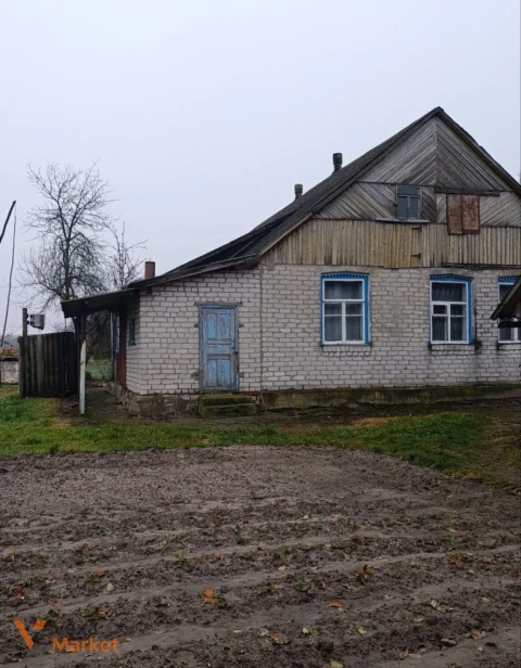 Будинок в с. Дашинка, Житомирська область