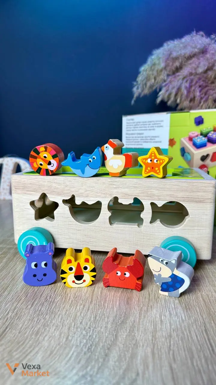 Деревянная игрушка WToys 3 в 1: сортер, игра, каталка — фото 4