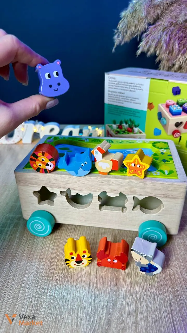 Деревянная игрушка WToys 3 в 1: сортер, игра, каталка — фото 6