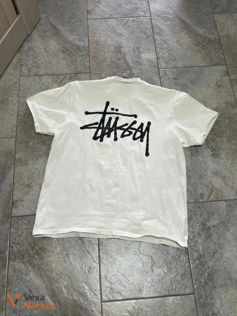 Футболка Stussy / Patagonia