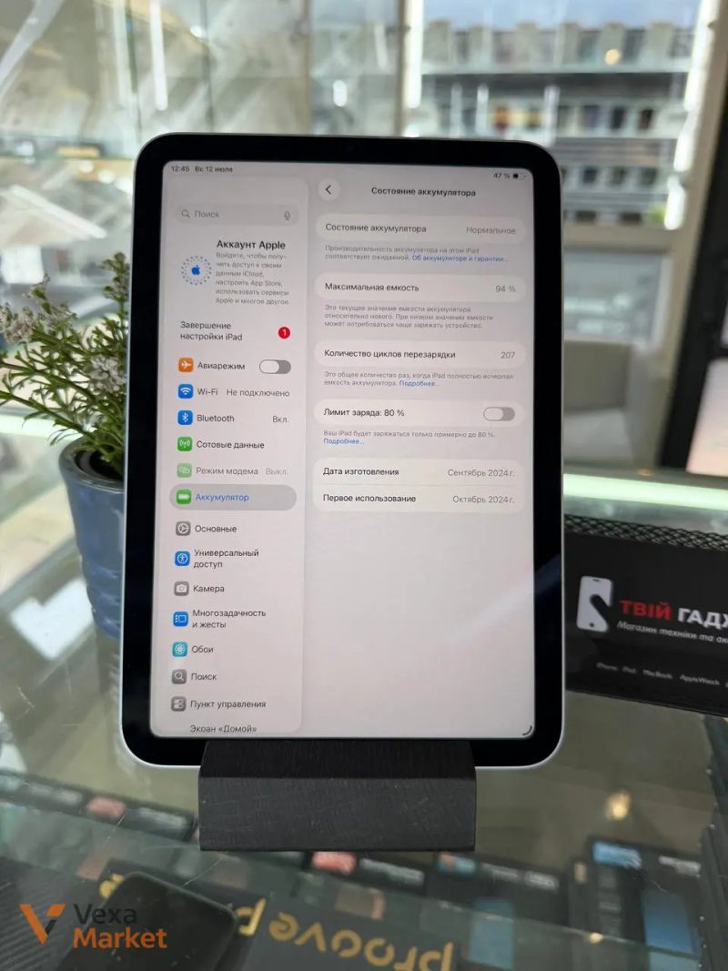 iPad mini 7 (A17Pro) Blue 256 GB LTE — фото 4