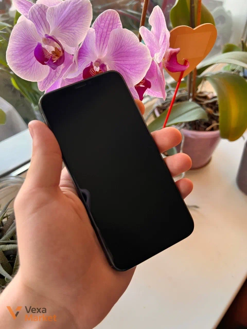 iPhone X 256GB