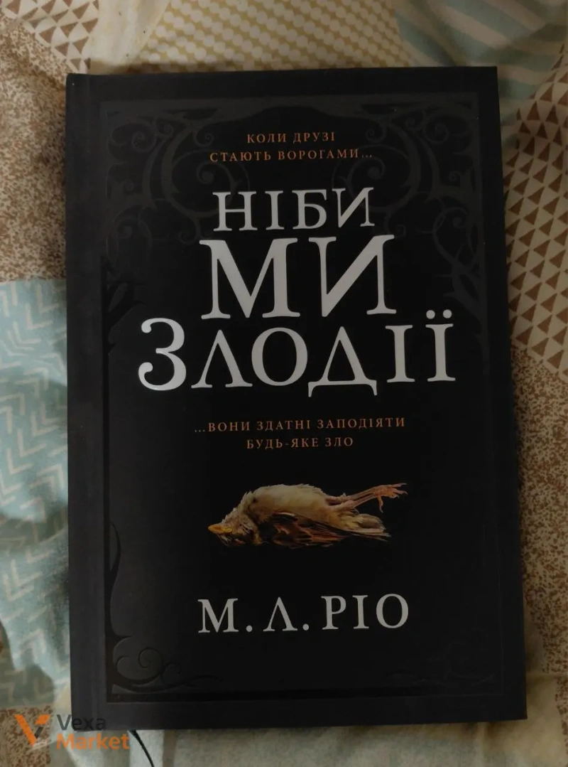 Книги "Захопити 13" та "Ніби ми злодії" — фото 2