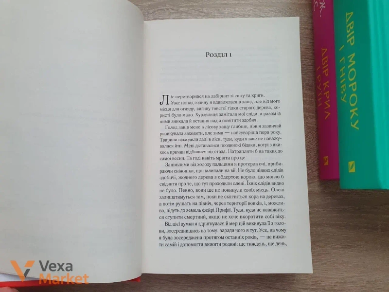 Комплект книг "Двір шипів і троянд", "Двір мороку і гніву", "Двір крил і руїн" Сари Дж. Маас — фото 6