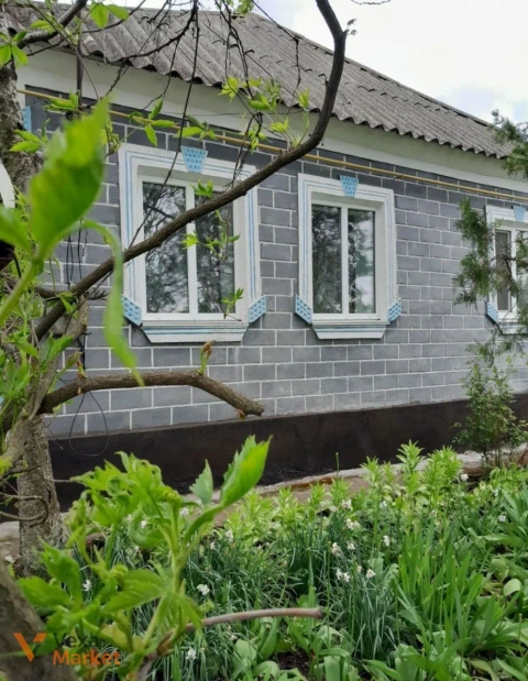 Продаж будинку в с. Староолексіївка, Вознесенський район, Миколаївська область