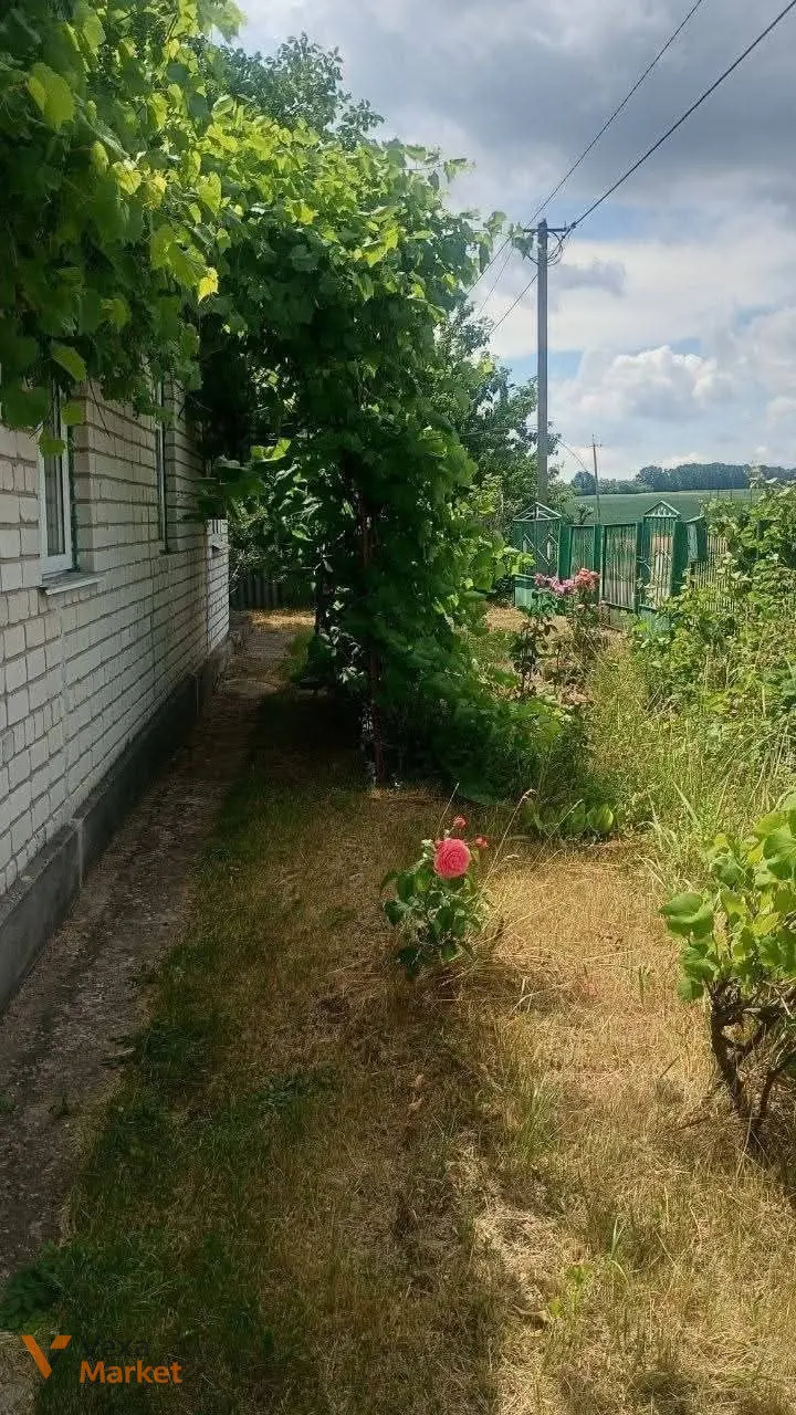 Продаж газифікованого будинку в с. Васильків, Черкаська область — фото 4