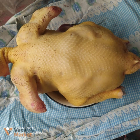 Тушка курки