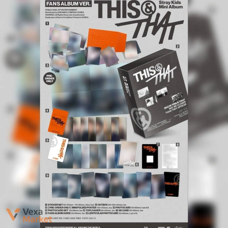Альбом Stray Kids - This&That Fans Album version — фото 2
