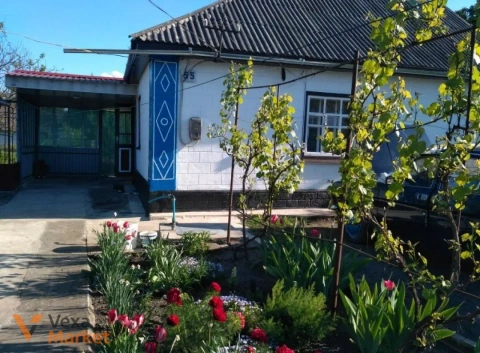 Будинок 100 кв.м з ділянкою 13 соток біля річки Синиця, м. Благовіщенське