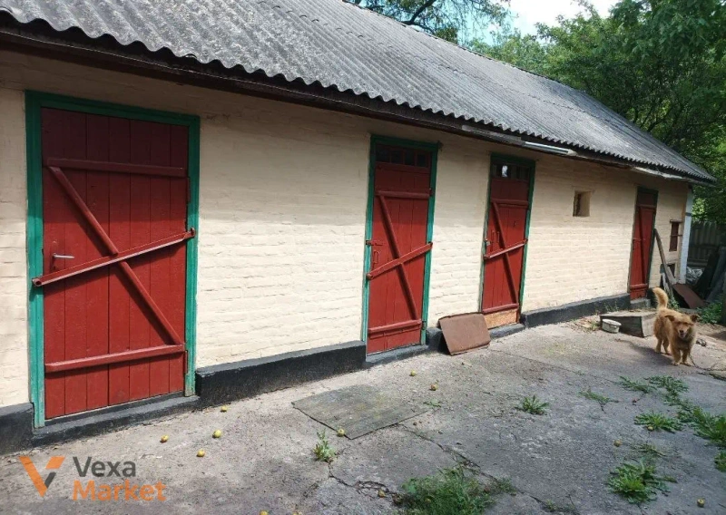 Будинок 48 кв.м на ділянці 30 соток в с-щі Верхнячка, Черкаська область — фото 3