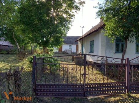 Будинок з садом в с. Липа, Дубенський район