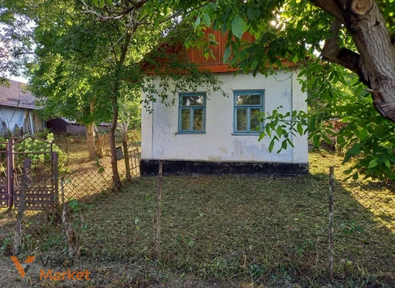 Будинок з садом в с. Липа, Дубенський район — фото 2