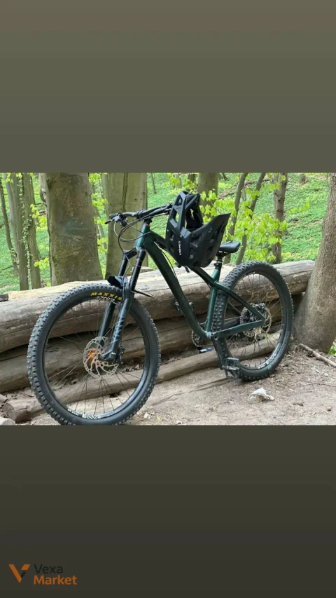 Dartmoor Hornet 2022 темно-зелений