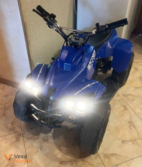 Дитячий електроквадроцикл Spider 36V/800W