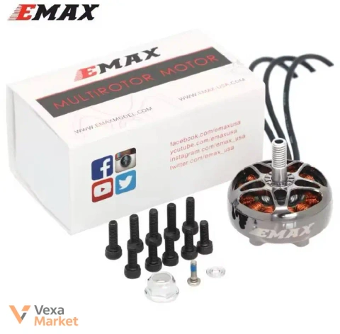 Двигуни flashhobby Arthur та emax eco ll для FPV дронів
