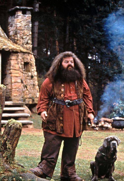 Funko Pop! Hagrid's Hut & Fang #08 — Harry Potter — фото 2