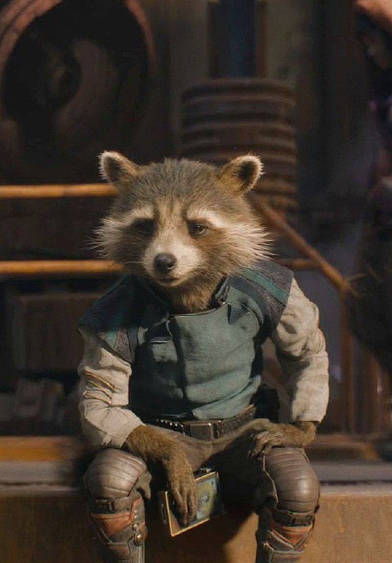 Funko Pop! Rocket Raccoon #48 — Guardians Of The Galaxy — фото 2