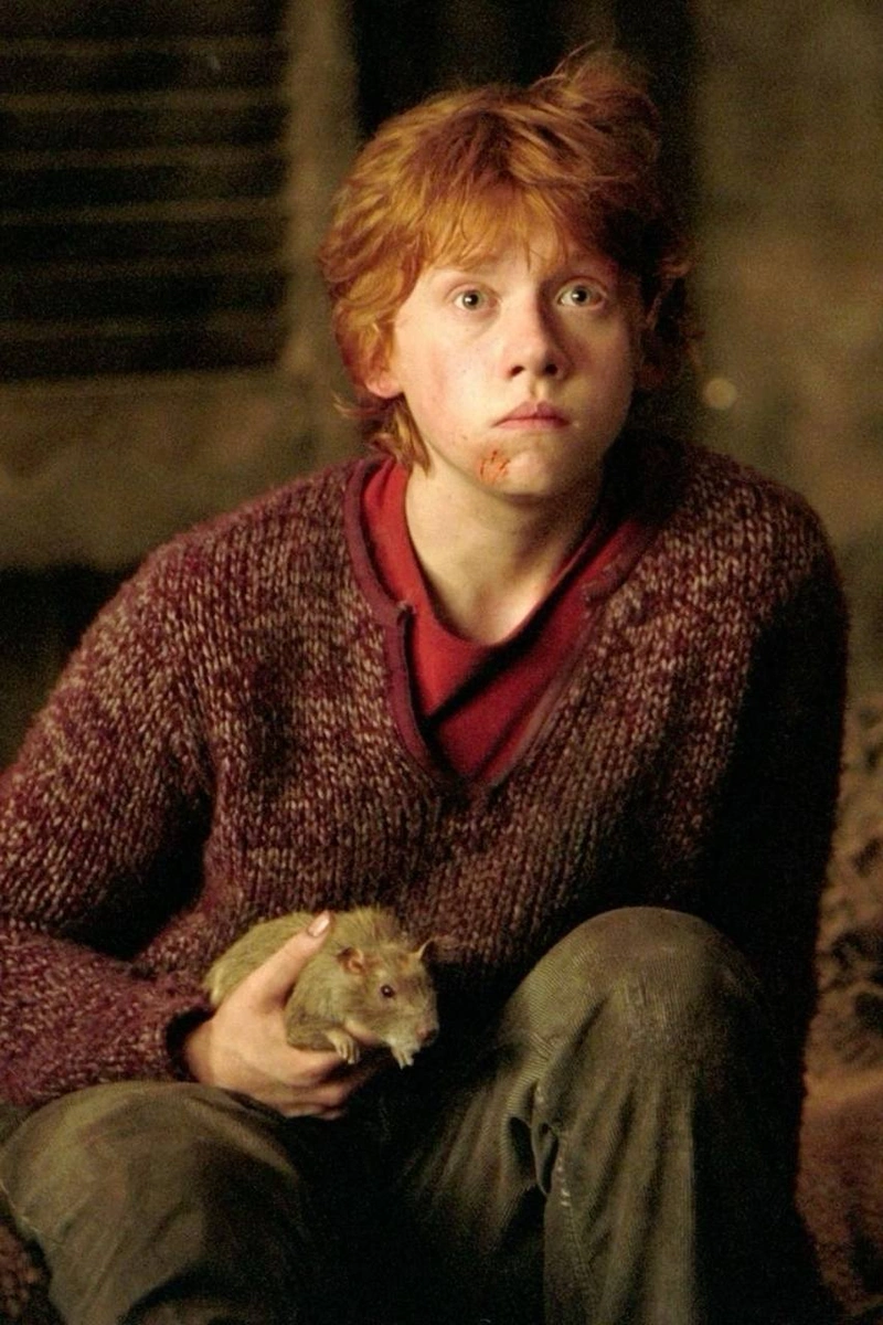 Funko Pop! Ron Weasley #44 — Harry Potter — фото 2