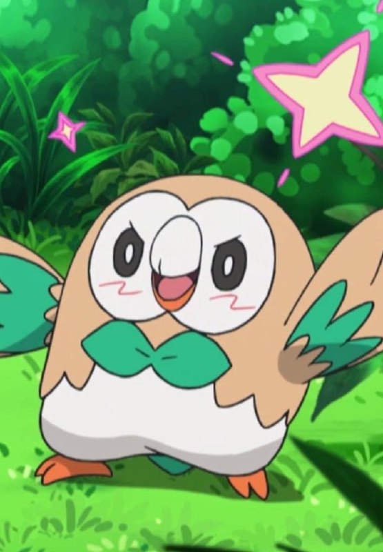 Funko Pop! Rowlet #1092 — Pokemon — фото 2