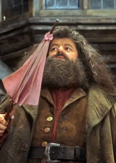 Funko Pop! Rubeus Hagrid #07 — Harry Potter — фото 2