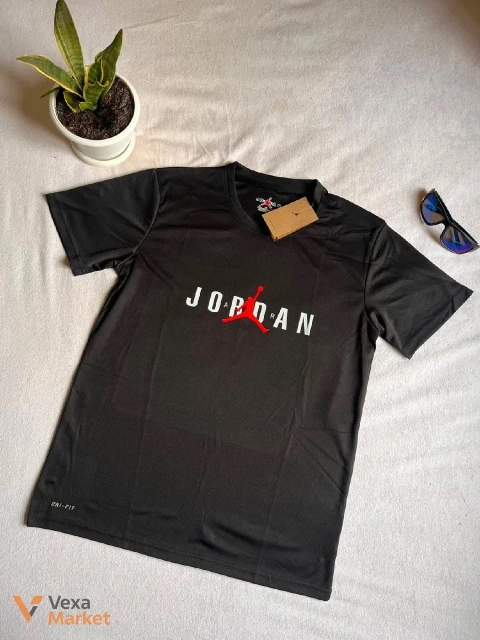 Футболка Nike Air Jordan Dri-Fit L