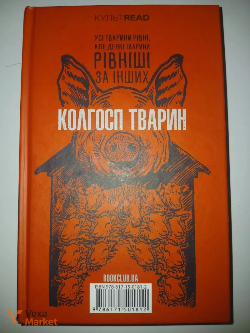 Книга Дикі дівчата, Моральні травми та інші — фото 5