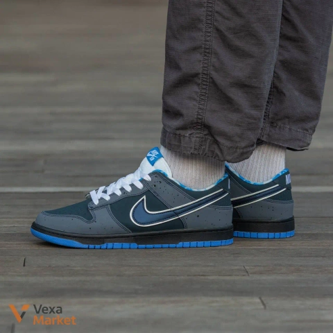 Nike Dunk Low Pro SB