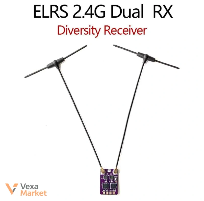 Рама XL10 v6 та ELRS 2.4G Dual Diversity — фото 2