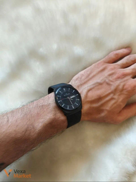 Skagen Denmark Титан наручные часы
