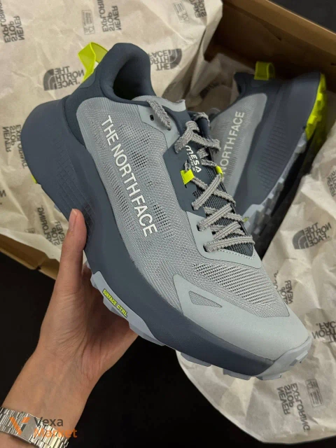 The North Face Altamesa 300 V2 кросівки