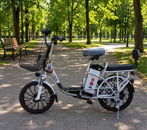 * Акція Gofun 1000W 20Ah Електровелосипед Для Двох Літій