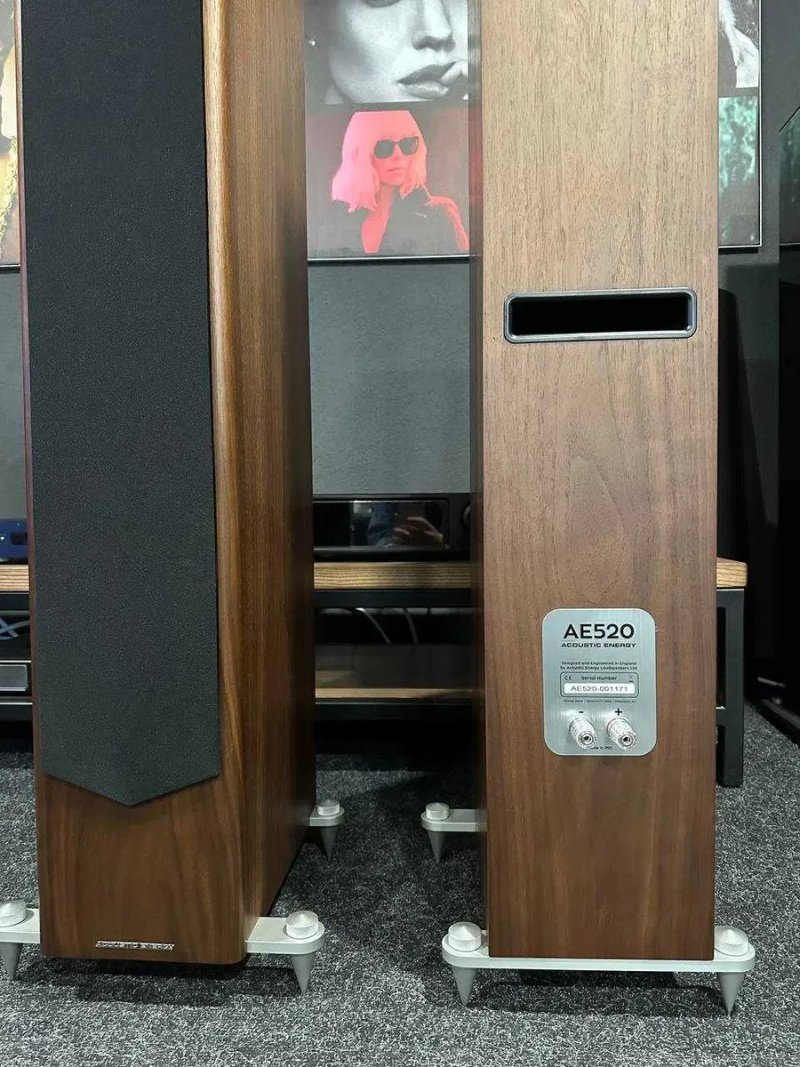 Акустическая система Acoustic Energy AE 520 — фото 6