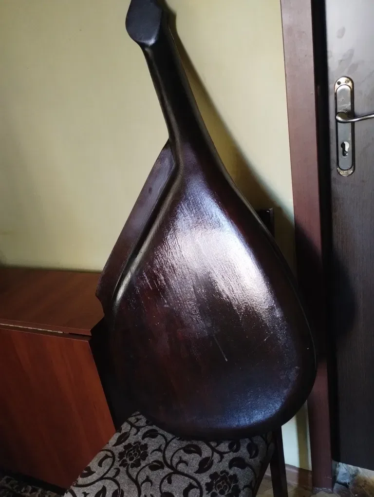 Бандура чернігівська — фото 3