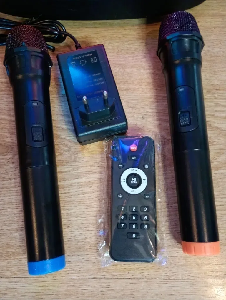Блютуз караоке акустика Temeisheng-38D(SD,USB,FM)пультДУ, 2микрофона — фото 5