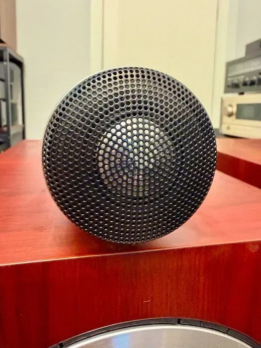 Bowers & Wilkins CM10 — флагман серии CM, архитектура твитера из 800 Diamond | пара, Rosenut, грили в комплекте — фото 3