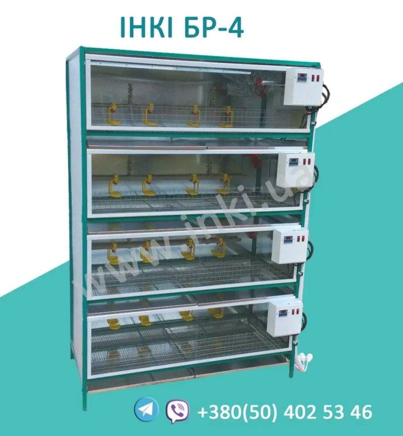 Брудер клітка для циплят бройлера, кур несучки, перепелів. Розбірний — фото 5